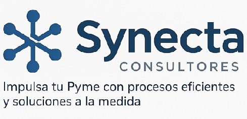 Synecta Consultores